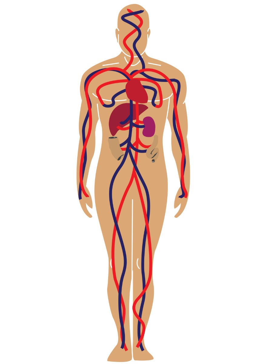 Healthy Body Benefits